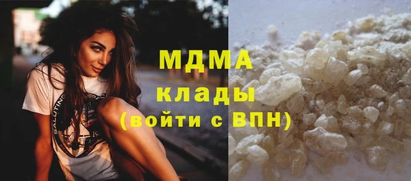 PSILOCYBIN Аркадак