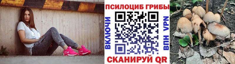 Галлюциногенные грибы MAGIC MUSHROOMS  хочу наркоту  Кадников 